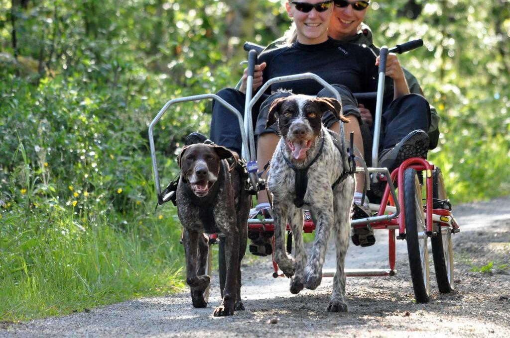 Birkelund Camping Geilo Exterior foto